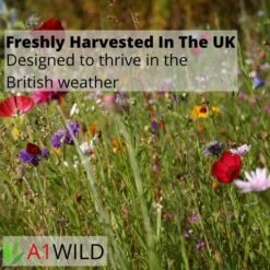 A1WILD UK Native 100% Wildflower Seed Mix -Garden Care Specialty Shop 2 10