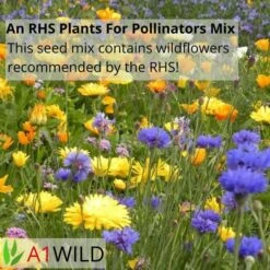 A1WILD UK Native 100% Wildflower Seed Mix -Garden Care Specialty Shop 3 9