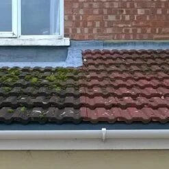 AlgoClear Pro - Hard Surface Cleaner -Garden Care Specialty Shop algoclear pro b and a