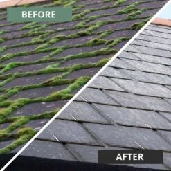 MossOff Chemical Free Multi Surface 5L - Clears Moss & Algae On Hard Surfaces -Garden Care Specialty Shop before after7