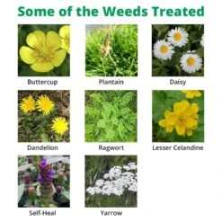 Garden Care Specialty Shop -Garden Care Specialty Shop depitox extra