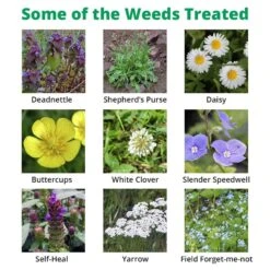 Dicophar - Selective Lawn Weed Killer -Garden Care Specialty Shop dicophar extra