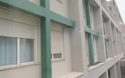 Bird Free - Immediate Bird Control Without Causing Harm - Pack Of 15 -Garden Care Specialty Shop dishes on window sill