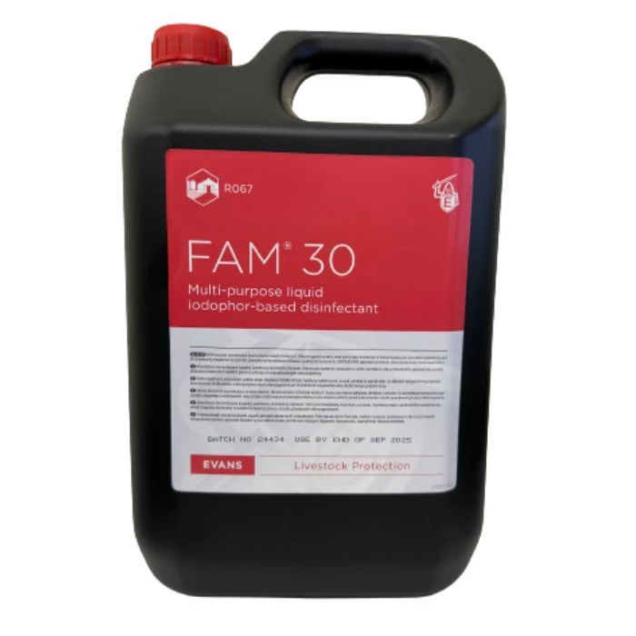FAM 30 5LT – Disinfectant And Cleaner 1 FAM 30 5LT – Disinfectant And Cleaner