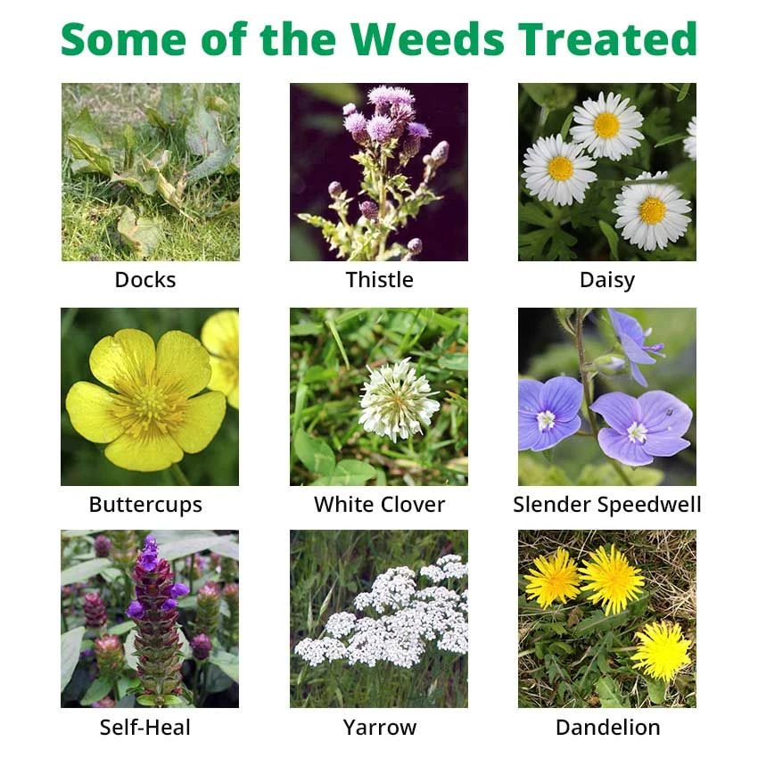 Holster XL - Selective Lawn Weedkiller 2 L 2 Holster XL - Selective Lawn Weedkiller 2 L - Image 2