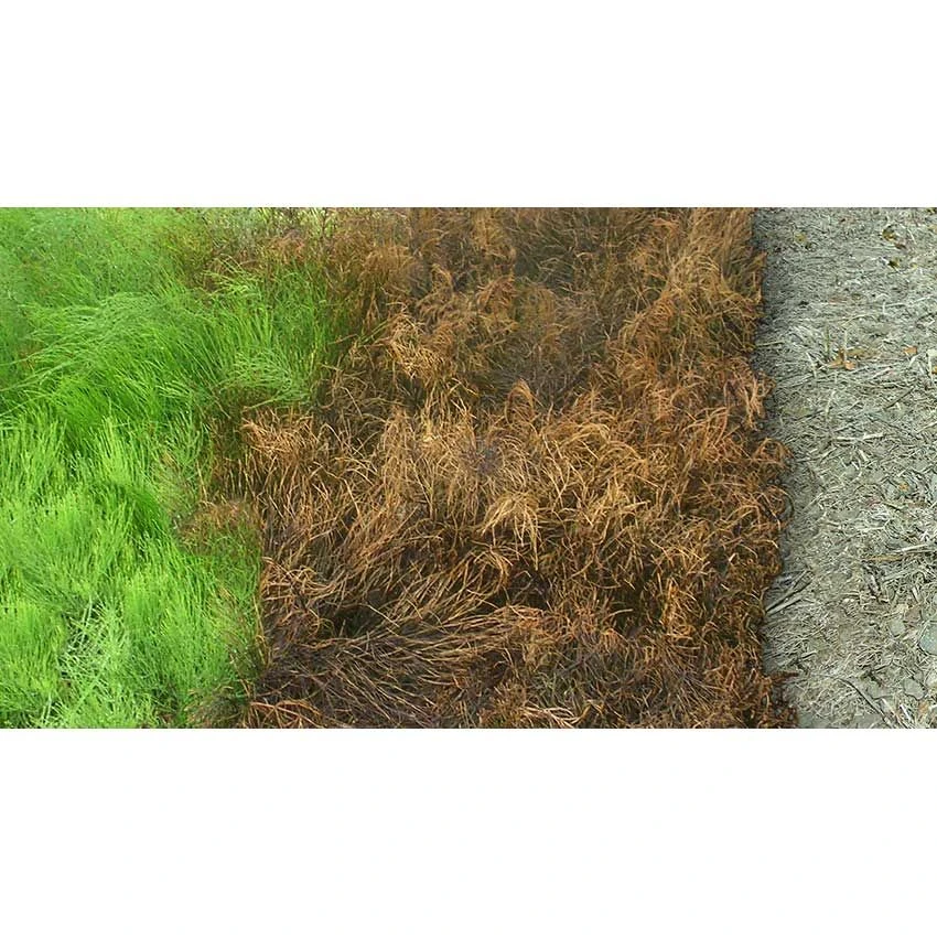 Kurtail Evo Horsetail Killer & K Plus Bundle 4 Kurtail Evo Horsetail Killer & K Plus Bundle - Image 4