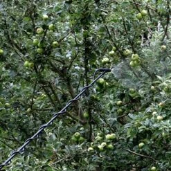 Matabi Telescopic Spraying Lance - C/w Adaptor For Cooper Pegler Triggers 7 Matabi Telescopic Spraying Lance - C/w Adaptor For Cooper Pegler Triggers -Garden Care Specialty Shop matabi telescopic lance 2