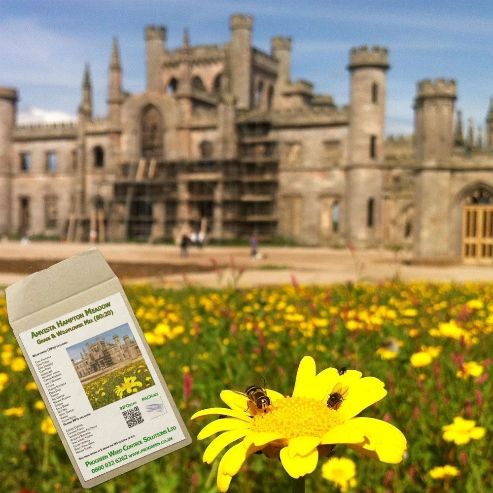 Amvista Hampton Meadow Grass & Wildflower Mix 80/20 1 Amvista Hampton Meadow Grass & Wildflower Mix 80/20