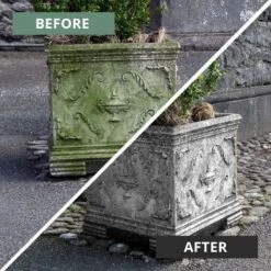 MossOff Chemical Free Multi Surface 5L - Clears Moss & Algae On Hard Surfaces -Garden Care Specialty Shop ornament