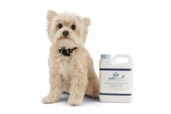 Safewash UK Organic Outdoor Cleaner -Garden Care Specialty Shop safewash and a dog 2