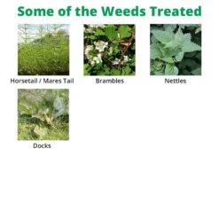 SBK Brushwood Killer 1 L - For Control Of Tough Woody Weeds -Garden Care Specialty Shop sbk extra 2