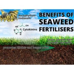 Garden Care Specialty Shop -Garden Care Specialty Shop seaweed benefit 7