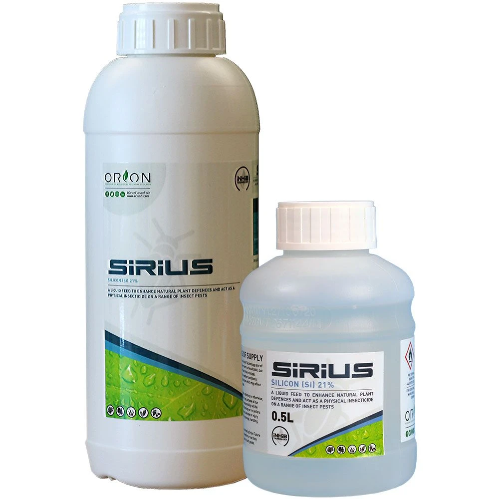 Sirius - Unique Action With Insecticidal Properties 1 Sirius - Unique Action With Insecticidal Properties